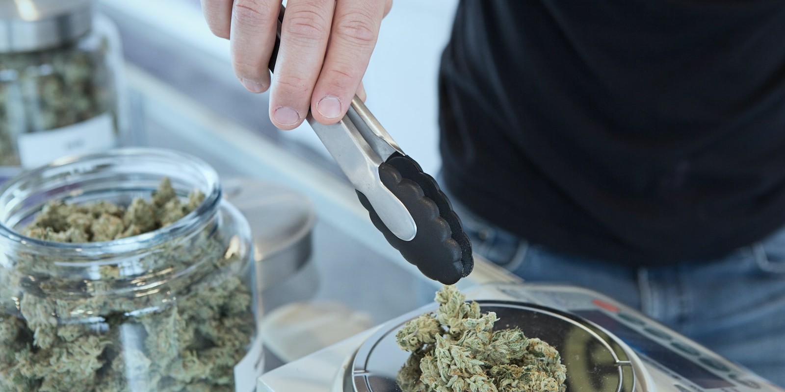 person holding grey tongs and kush